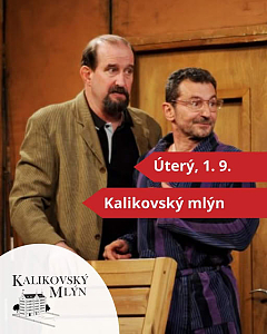 Velká zebra aneb Jak že se to jmenujete?