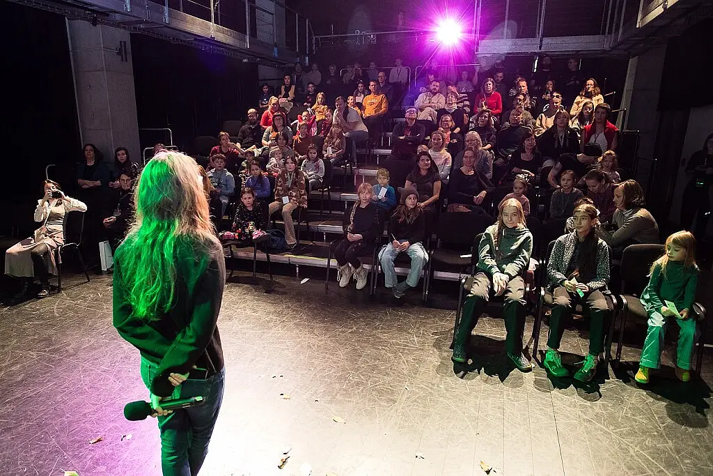 Festival Animánie 2025 (2).jpg
