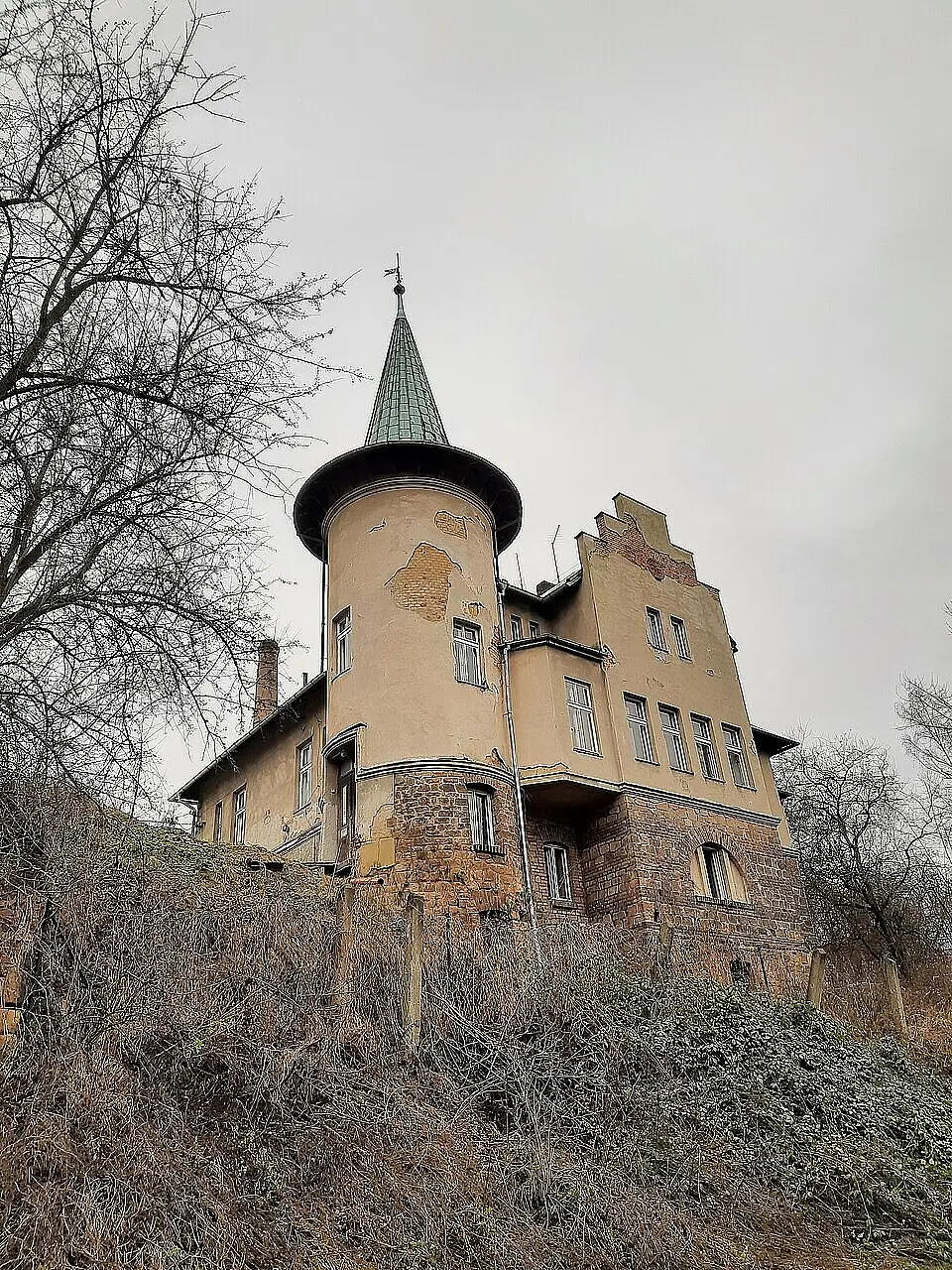 Levitova_vila,_Plzeň-Lobzy_2.jpg