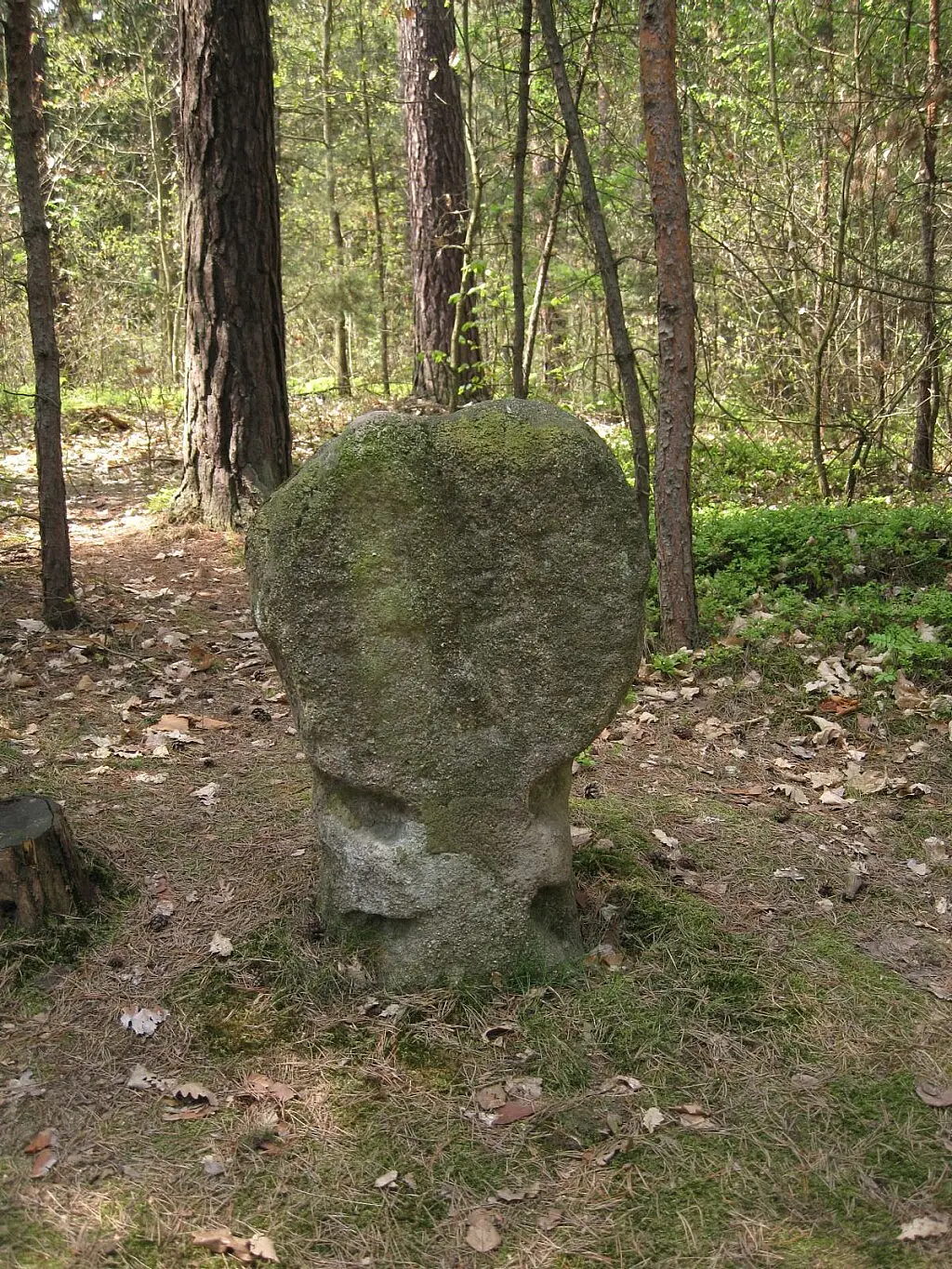Křížový_kámen_na_Dostálce_02.jpg
