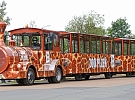 Nový Zoo - vláček vyjíždí 18. srpna