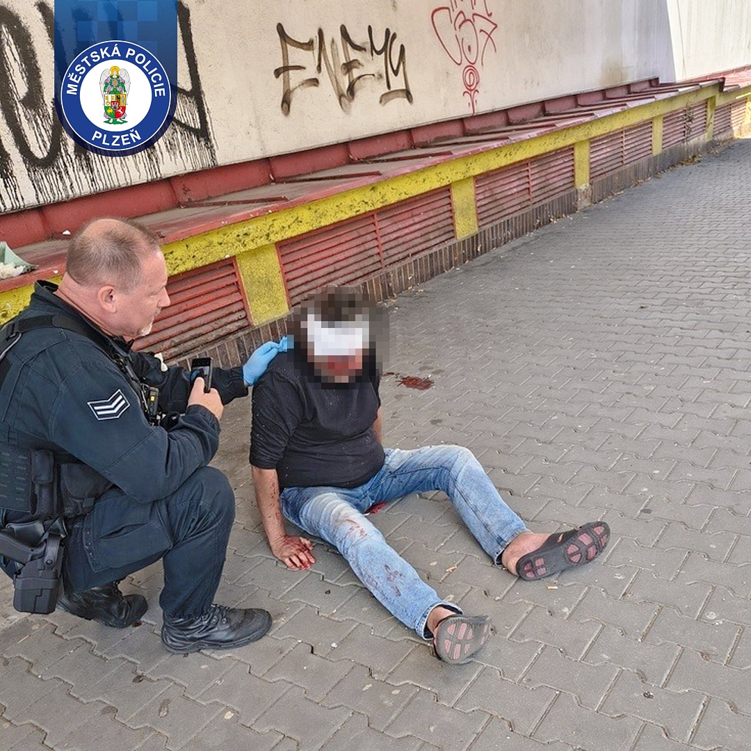 Fotografie 1