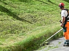 Na Trojce začne třetí letošní seč travnatých ploch