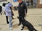 Stovky zkontrolovaných lidí, desítky policistů v ulicích. Podobná opatření nejsou v Plzni ničím výjimečným.