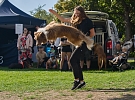 Borský park patřil pejskům, psí den se tu konal už po patnácté