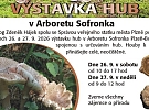 Výstava hub na Sofronce nabídne houby z plzeňských lesů i mykologickou poradnu