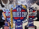 Woves Cup 2026 pro ročník 2016