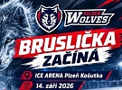 Hokejová Bruslička u HC Pilsen Wolves začíná již 14. září!!!!