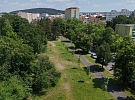 Čtyřka se připravuje na změny v péči o zeleň, vlna veder určuje nový směr