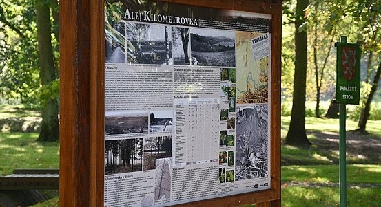 Fotografie 1