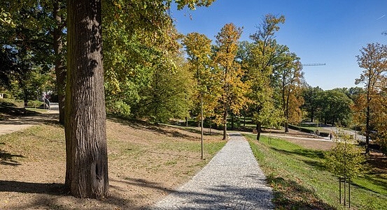 Fotografie 1