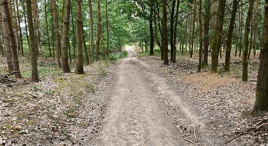 Fotografie 1