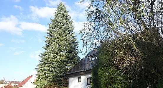 Fotografie 1
