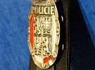 Plzeň chce posílit městskou policii