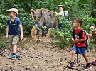 Nová lesní stezka Siluety zvěře vybízí děti i dospělé k poznávání obyvatel lesa