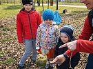 Božkovský ostrov bude opět plný ptačího zpěvu