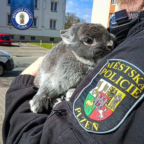 Fotografie 1