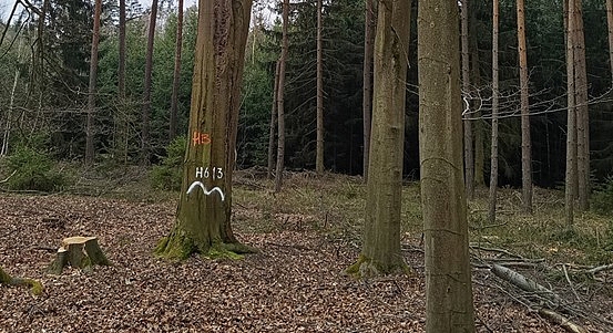 Fotografie 1