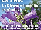 Mimořádné vstupné