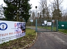 Plzeň podpoří kastrace opuštěných a toulavých koček také v roce 2026