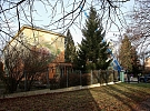 Vánoční strom Čtyřky je smrk ze 6. MŠ