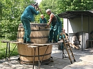 Poslední strážci pivovarského tajemství: Proč Plzeň jako poslední na světě drží řemeslo, které jinde vymřelo?