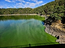 Sinice zasáhly Hracholusky: Lidé jsou zděšeni, rybáři téměř nemohli chytat