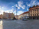 Ani letos centrální obvod nezapomněl. Trojka chrání ježky i jejich blešky už po čtvrté