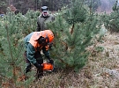 Lidé si opět budou moci u Košináře koupit vánoční stromky a ryby
