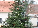Vánoční strom na Selské návsi už září