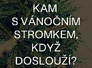 Kam s vánočním stromkem?