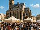 Pilsner Fest pod dohledem