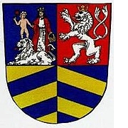 Město Kralovice