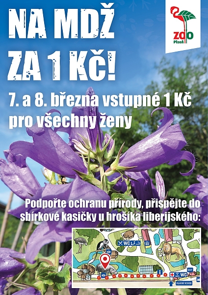 Fotografie 1