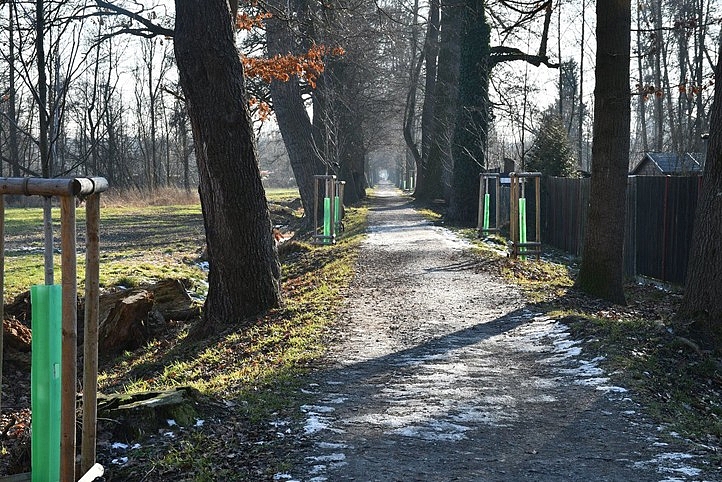 Fotografie 1