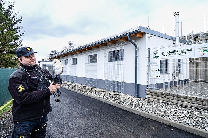 Fotografie 1