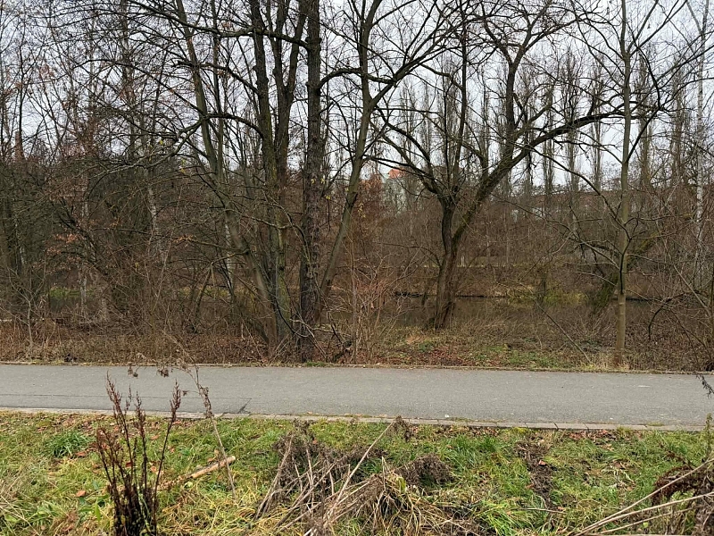 Fotografie 1